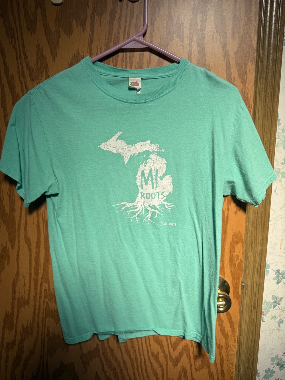 MI Roots Michigan Shirt